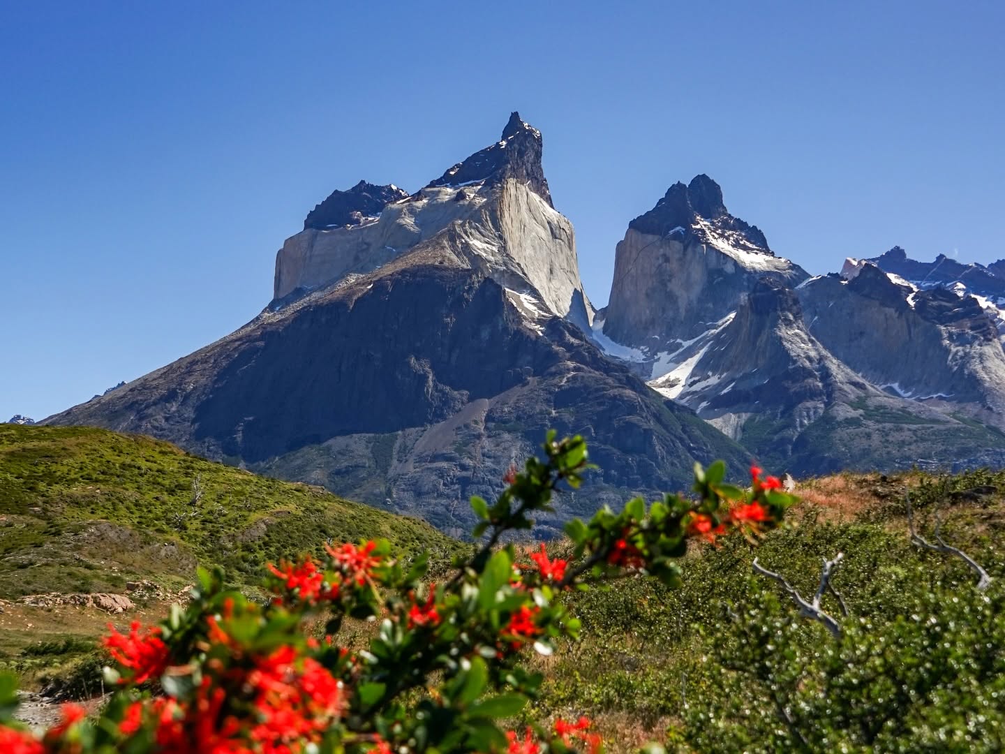 Full Day Torres del Paine. 2° Salida - Fotografía 2 | WOW Patagonia
